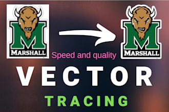 trace and transform your logo into vector format
