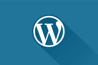 do wordpress code like pluging, theme implement, rest api