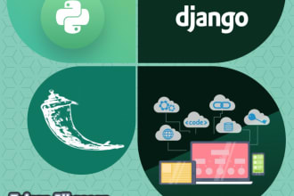 build professional django, flask app or python script