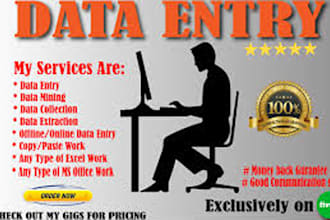 do data entry work, data converting