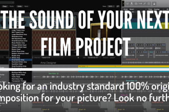 produce an industry standard instrumental for your song, video or advert