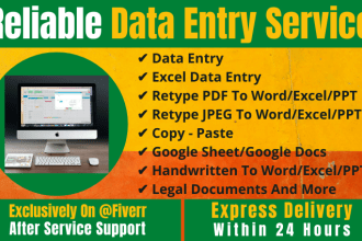 provide fast and reliable data entry service