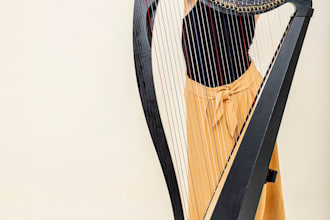 record celtic harp for your song