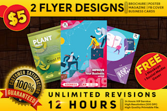 design 2 flyer designs in 12 hours