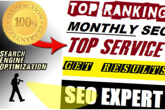 provide monthly SEO service for 1st page google rankings