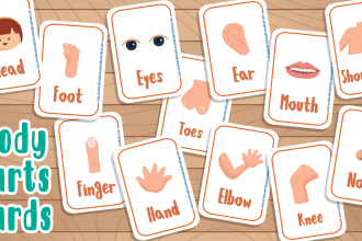 design attractive learning flashcards