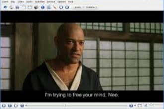 perfectly add subtitles to any video