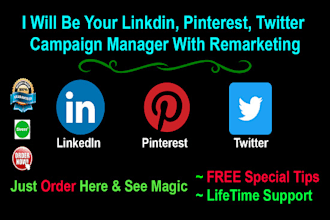 be your linkedin, pinterest, twitter account manager