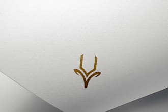 design professional logo and stationary for your company