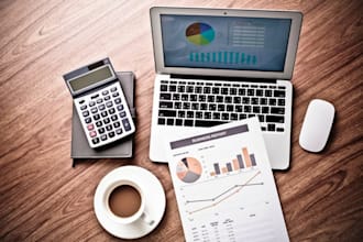 manage bookkeeping, vat reports, and financial statements qb, sap, excel