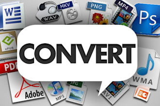 convert any FILES formats to another formats of your choice, audio files converting, video files converting, documents converting etc