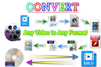 convert video to any format mkv, mp4, mov, avi, vob, wmv etc