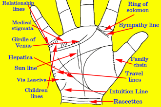 give you the most accurate and detail palm reading