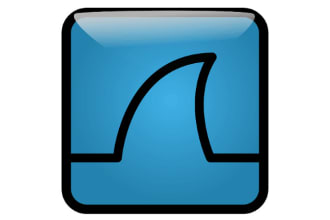 do packet analysis using wireshark