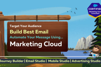 be your salesforce marketing cloud developer