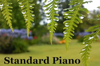 compose relaxing instrumental piano music