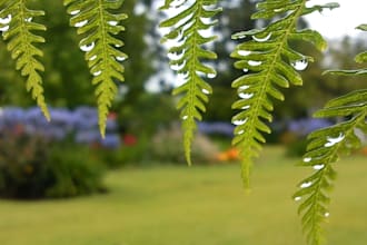 compose relaxing instrumental piano music