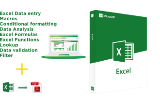 be your virtual assistant for data entry, pdf to excel