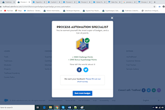 do salesforce development and admin support