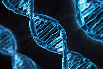 help with biology related tasks and everything
