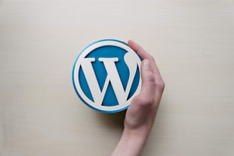 build a wordpress website