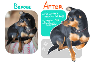 illustrate your pet in my own style