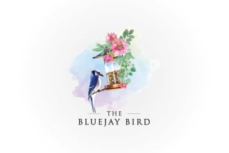 design watercolor feminine logo design