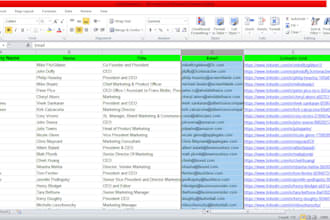provide highly targeted lead generation service