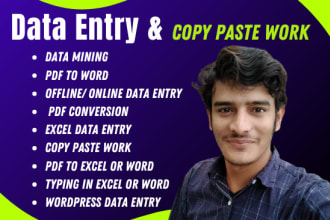 do any data entry and data enrichment