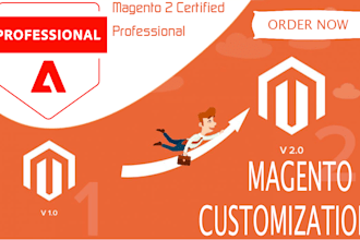 magento 2 customization and upgrade