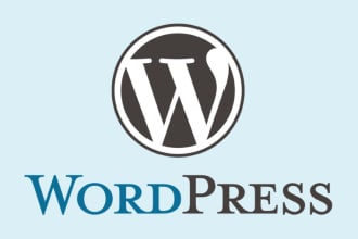 help you to fix any wordpress issue