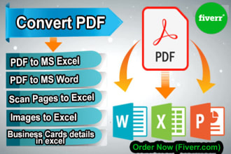 do PDF to excel conversion manually