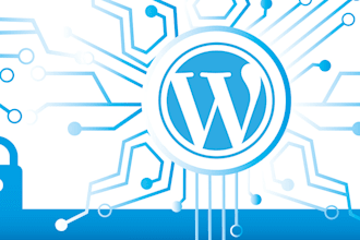 create the professional website for you