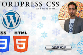 fix wordpress CSS issues