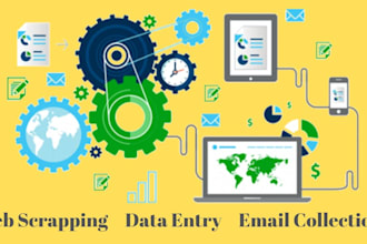 do web scraping data entry and PDF to world excel in 1 hrs