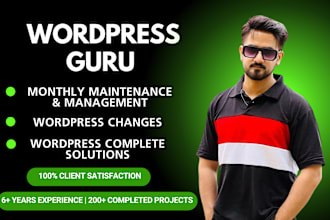 manage wordpress website, do website maintenance