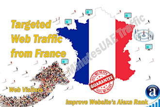 send french web visitors, organic traffic from france