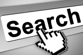 provide you Professional data entry services