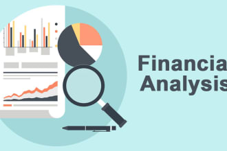 financial analysis including ratio, valuations and writeup