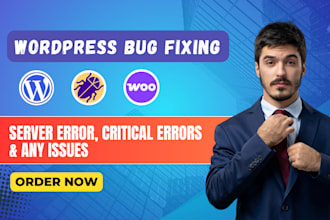 do any wordpress bug fix and technical support