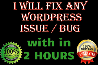 fix any wordpress bug, problem