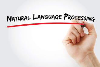 professional natural language processing nlp application