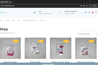 create wp website with domain, hosting and maintenance
