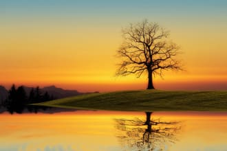 a realistic water reflection to any photo