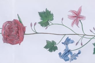 draw a stunning floral