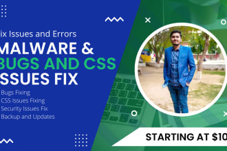 fix wordpress bugs errors and css issues