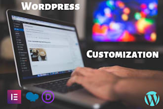 do wordpress customization, bug fix, critical error fixing