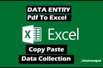 do data entry typing and microsoft excel skills