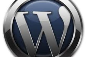 make any wordpress plugin for you