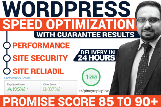 speed up wordpress site to optimize gtmetrix, pagespeed score